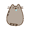 PusheenDrool Discord emoji — free animated GIF download