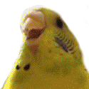 screm Discord emoji — free static PNG download