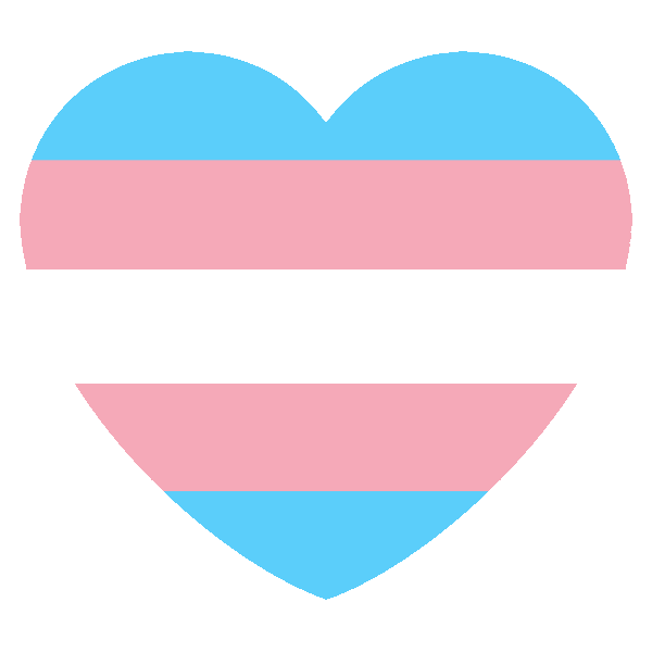 TransgenderHeart Discord emoji — free static PNG download
