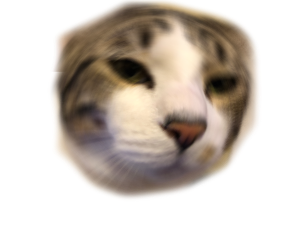 trevorsayswut Discord emoji — free static PNG download