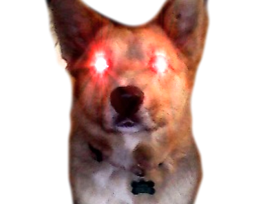 TriggeredDoggo Discord emoji — free static PNG download