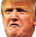 TrumpDisgust Discord emoji — free static PNG download