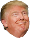 TrumpHappy Discord emoji