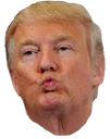 TrumpKiss Discord emoji - free download