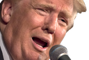 TrumpSpeech Discord emoji — free static PNG download