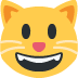grinning cat 😺 Discord emoji — free static PNG download
