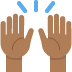 raising hands: medium-dark skin tone 🙌🏾 Discord emoji — free static PNG download