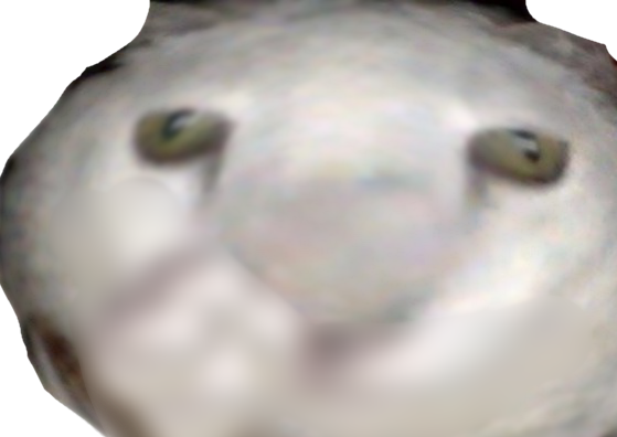 WRIWD Discord emoji — free static PNG download