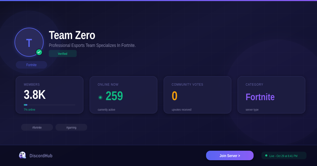 Team Zero — Popular Fortnite Discord (3.8K+ Members) [2026]
